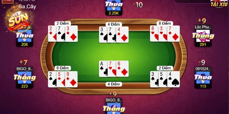 Ba cây Sunwin Cùng tìm hiểu khái quát ba cây Sunwin là gì?